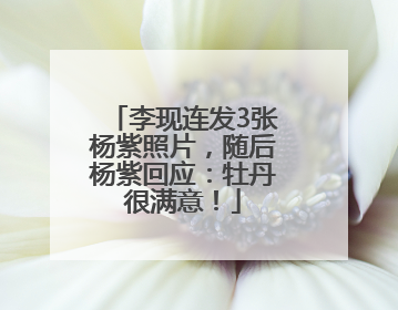 李现连发3张杨紫照片，随后杨紫回应：牡丹很满意！