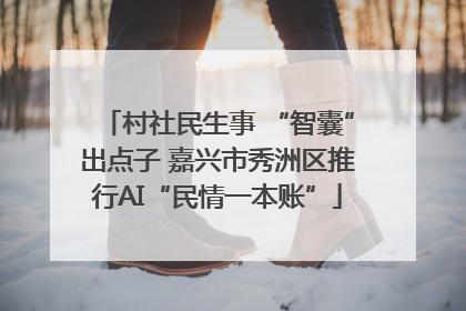 村社民生事 “智囊”出点子 嘉兴市秀洲区推行AI“民情一本账”