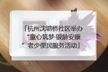 杭州沈塘桥社区举办“童心筑梦·银龄安康”老少便民服务活动
