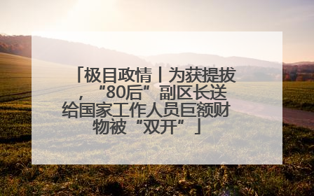 极目政情丨为获提拔，“80后”副区长送给国家工作人员巨额财物被“双开”