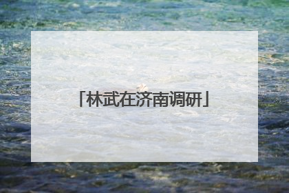 林武在济南调研