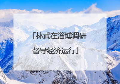 林武在淄博调研督导经济运行