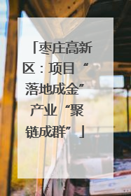 枣庄高新区：项目“落地成金” 产业“聚链成群”