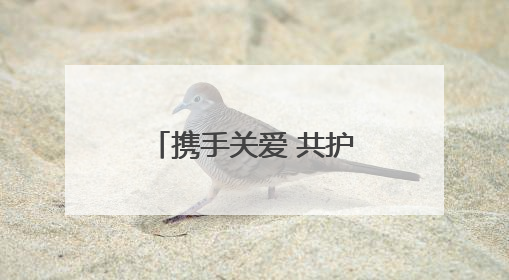 携手关爱 共护未来——台前县人民检察院举办检察开放日活动