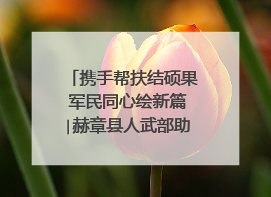 携手帮扶结硕果 军民同心绘新篇∣赫章县人武部助力大凉山村阔步乡村振兴路