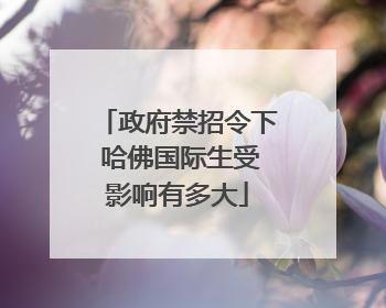 政府禁招令下 哈佛国际生受影响有多大