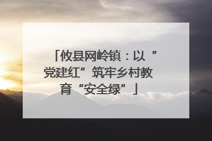 攸县网岭镇：以“党建红”筑牢乡村教育“安全绿”