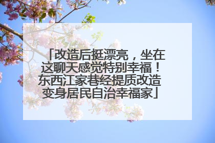 改造后挺漂亮，坐在这聊天感觉特别幸福！东西江家巷经提质改造变身居民自治幸福家