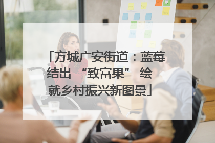 方城广安街道：蓝莓结出 “致富果” 绘就乡村振兴新图景