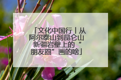 文化中国行丨从阿尔泰山到昆仑山 新疆岩壁上的“朋友圈”画的啥