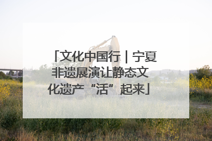 文化中国行｜宁夏 非遗展演让静态文化遗产“活”起来