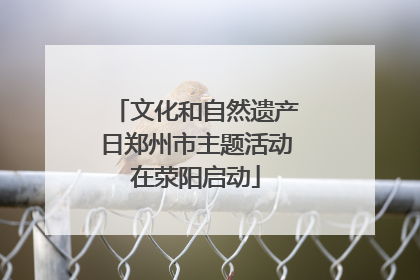 文化和自然遗产日郑州市主题活动在荥阳启动