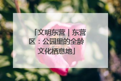 文明东营｜东营区：公园里的全龄文化栖息地