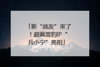 新“战友”来了！超飒雪豹IP“兵小宁”亮相