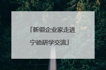 新疆企业家走进宁德研学交流