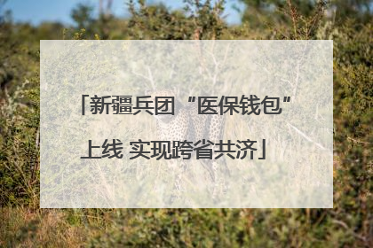 新疆兵团“医保钱包”上线 实现跨省共济