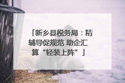 新乡县税务局：精辅导促规范 助企汇算“轻装上阵”