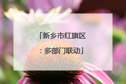 新乡市红旗区：多部门联动