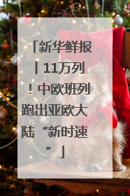 新华鲜报丨11万列！中欧班列跑出亚欧大陆“新时速”