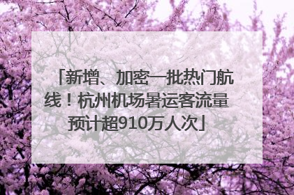 新增、加密一批热门航线！杭州机场暑运客流量预计超910万人次