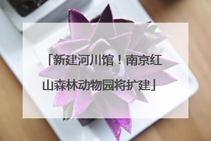 新建河川馆！南京红山森林动物园将扩建