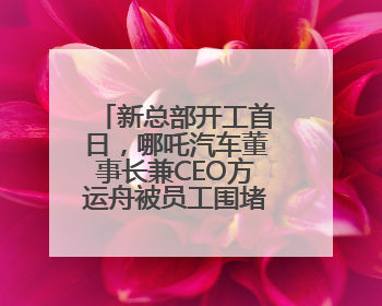 新总部开工首日，哪吒汽车董事长兼CEO方运舟被员工围堵讨薪