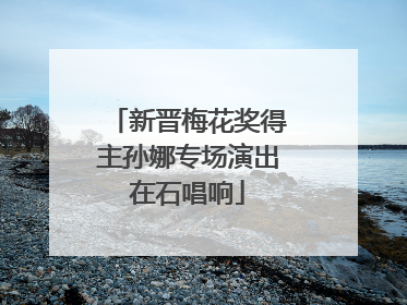 新晋梅花奖得主孙娜专场演出在石唱响