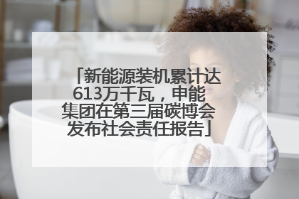 新能源装机累计达613万千瓦，申能集团在第三届碳博会发布社会责任报告
