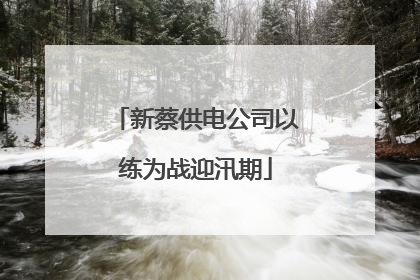 新蔡供电公司以练为战迎汛期