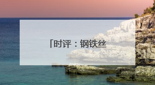 时评：钢铁丝路连欧亚，班列飞驰启新程