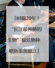 时隔20年！“长江最神秘的生物”极危物种鳤鱼重现赣江