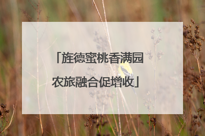 旌德蜜桃香满园 农旅融合促增收