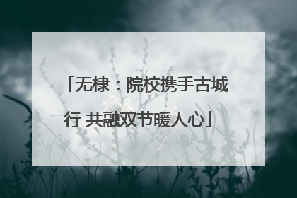 无棣：院校携手古城行 共融双节暖人心