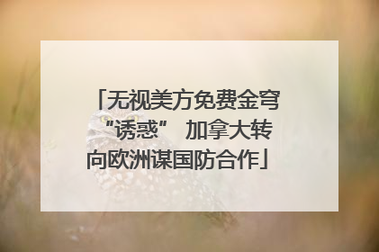 无视美方免费金穹“诱惑” 加拿大转向欧洲谋国防合作