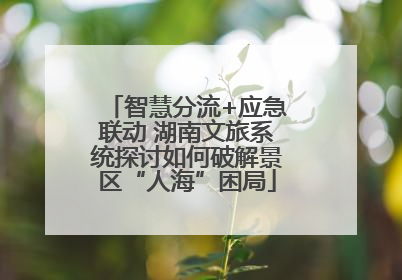 智慧分流+应急联动 湖南文旅系统探讨如何破解景区“人海”困局