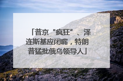 普京“疯狂”、泽连斯基应闭嘴，特朗普猛批俄乌领导人