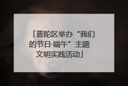 普陀区举办“我们的节日·端午”主题文明实践活动