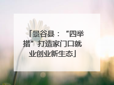 景谷县：“四举措”打造家门口就业创业新生态