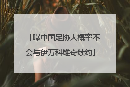 曝中国足协大概率不会与伊万科维奇续约