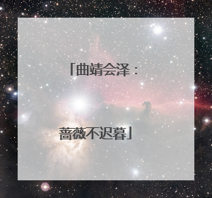 曲靖会泽：蔷薇不迟暮