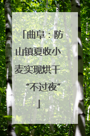曲阜：防山镇夏收小麦实现烘干“不过夜”