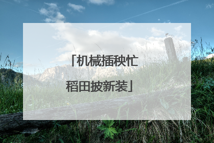 机械插秧忙 稻田披新装