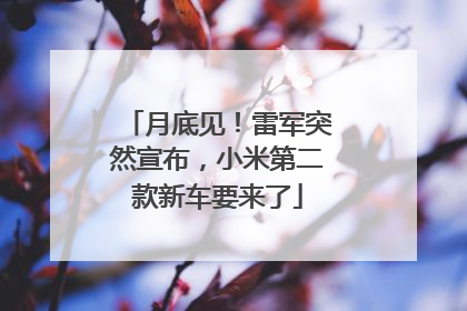 月底见！雷军突然宣布，小米第二款新车要来了