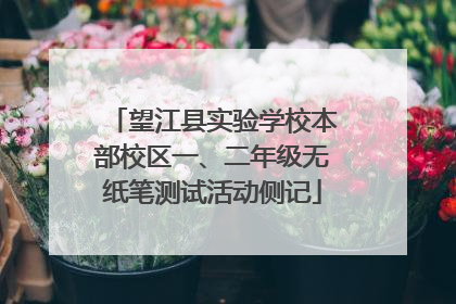 望江县实验学校本部校区一、二年级无纸笔测试活动侧记