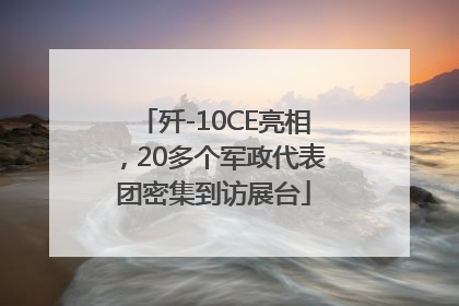 歼-10CE亮相，20多个军政代表团密集到访展台