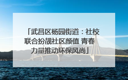 武昌区杨园街道：社校联合扮靓社区颜值 青春力量推动环保风尚