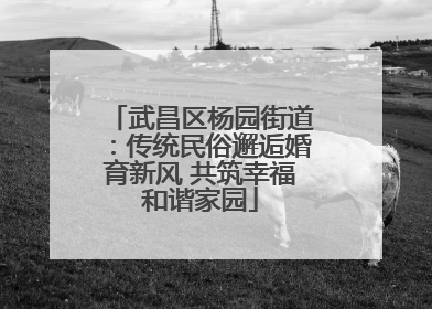 武昌区杨园街道：传统民俗邂逅婚育新风 共筑幸福和谐家园