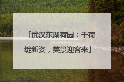武汉东湖荷园：千荷绽新姿，美景迎客来