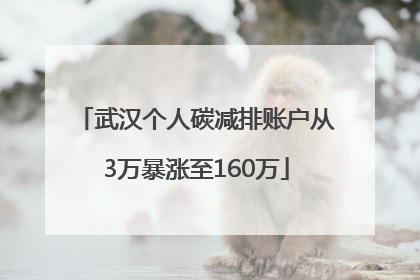 武汉个人碳减排账户从3万暴涨至160万