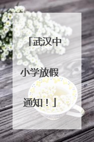武汉中小学放假通知！